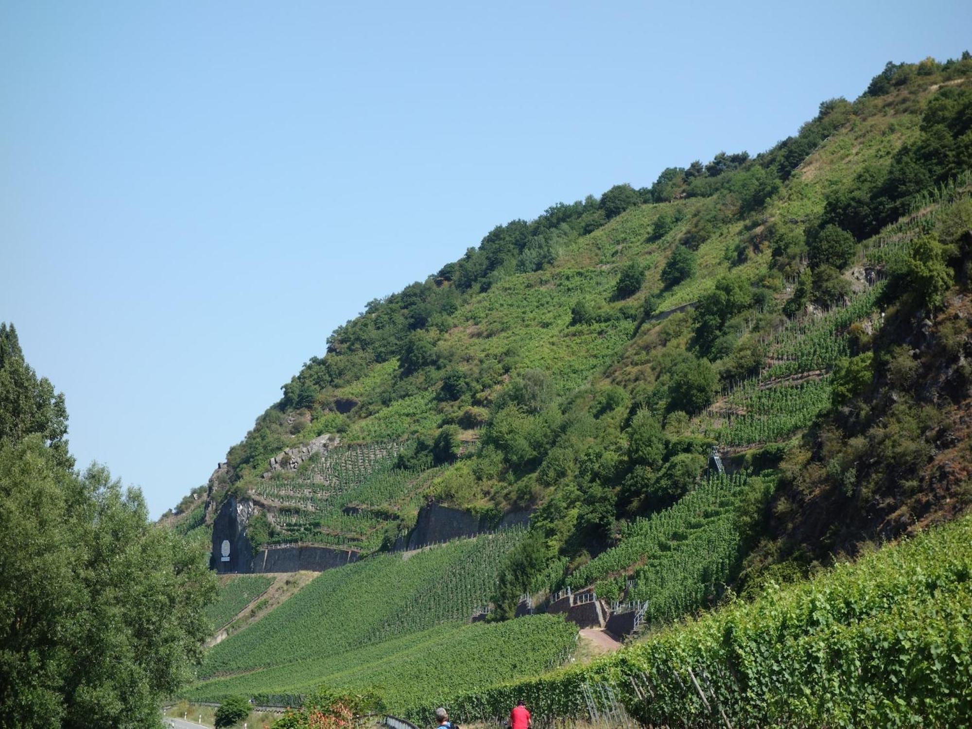 A Modern In The Hunsr Ck Region S Romantic Drohn Valley Apartment Merschbach