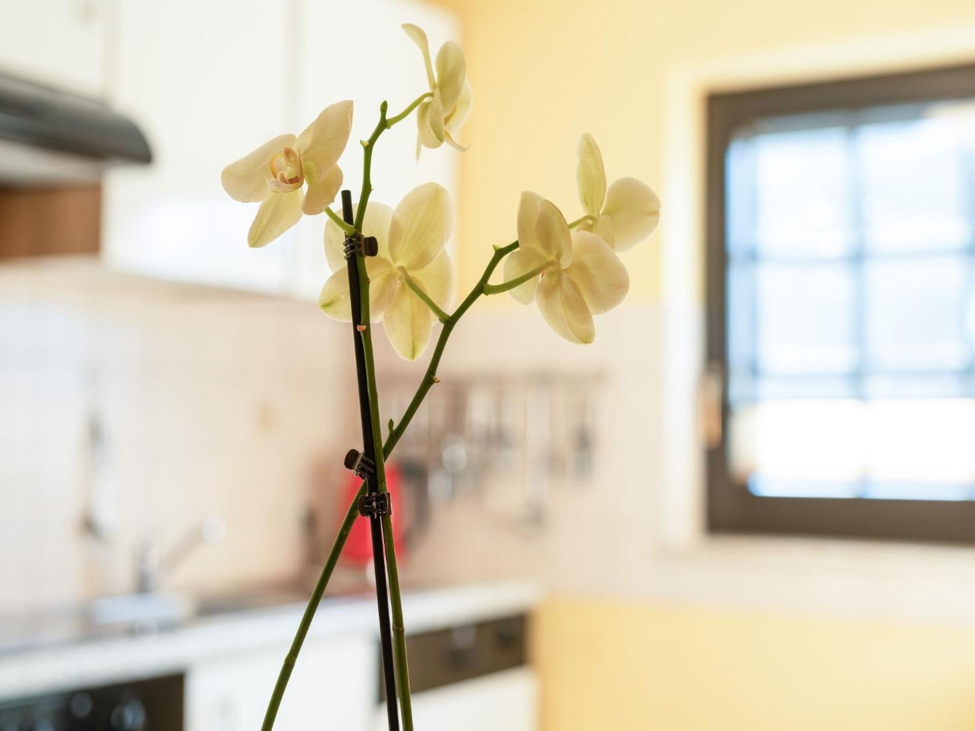 Apartment A Modern In The Hunsr Ck Region S Romantic Drohn Valley